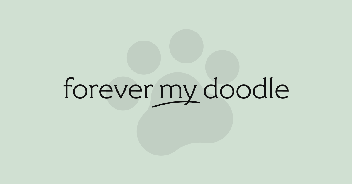 Forever My Doodle